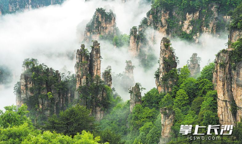 張家界美景