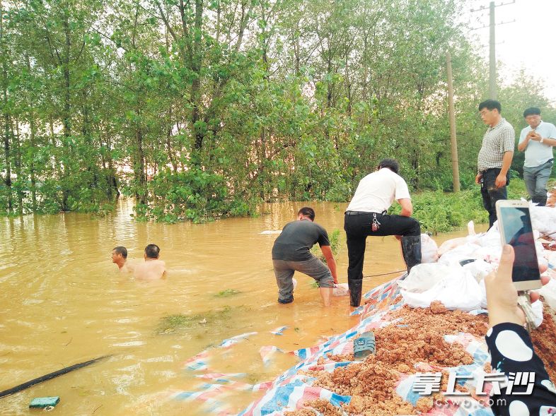 7月3日,，蔡正根老人（左一）在水中堵管涌,。 長沙晚報通訊員 郭利春 攝