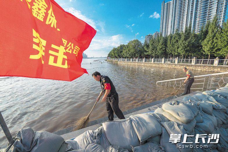 7月7日傍晚6時,，湘江風(fēng)光帶湘江中路段，志愿者正在清掃河堤,。 長沙晚報記者 陳飛 攝