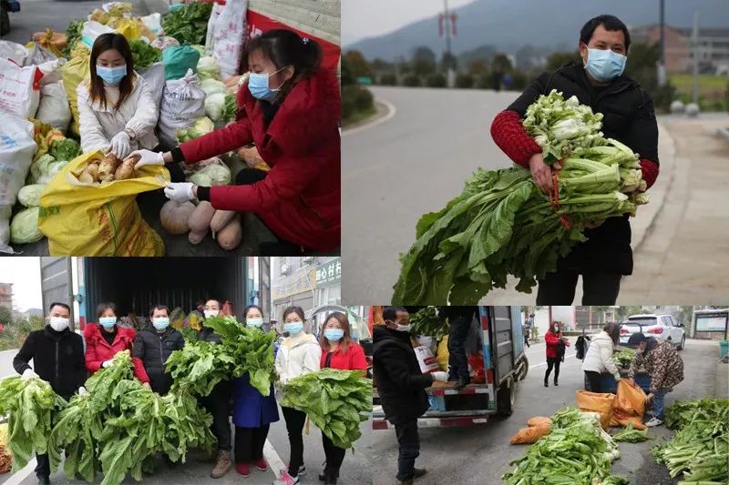 小河農(nóng)民和志愿者捐贈蔬菜并打包,。受訪者供圖