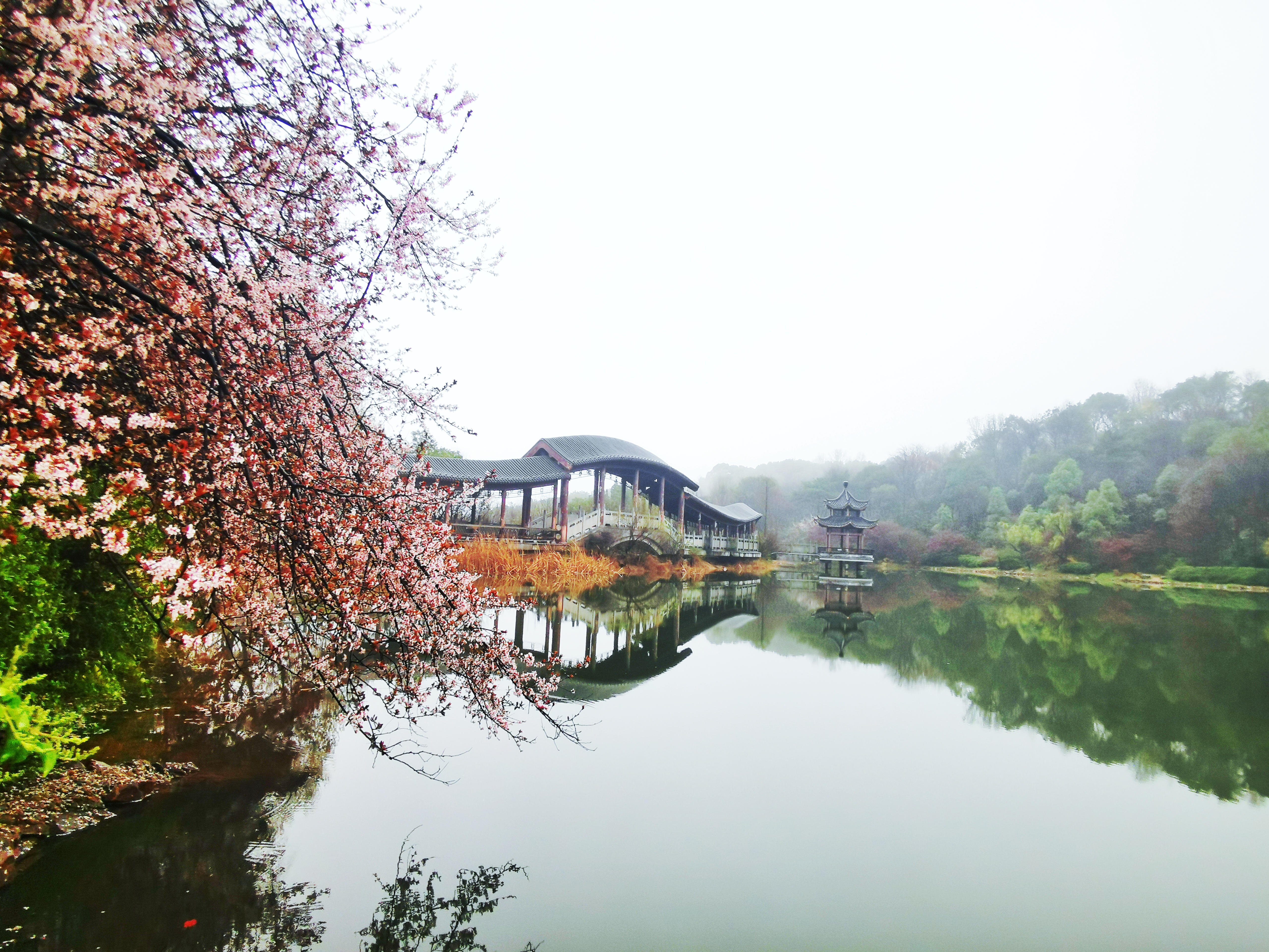 穿石坡湖畔桃紅柳綠