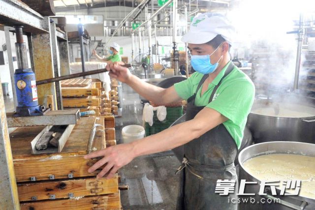 繁忙的長(zhǎng)沙市利利平食品有限公司豆制品生產(chǎn)車(chē)間一角,。