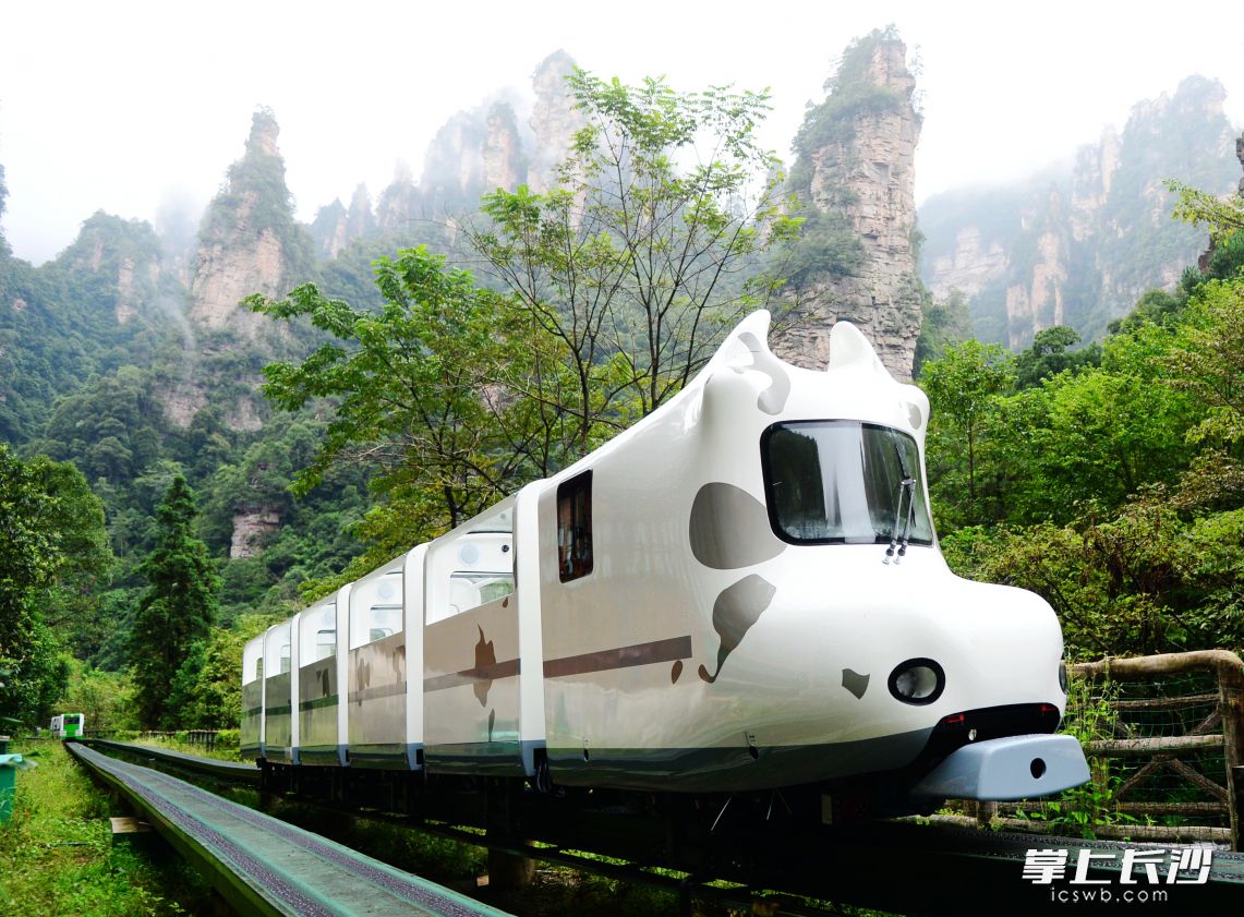 “牛牛號”觀光電車正在調(diào)試中,。圖片均為通訊員 鄧道理 攝