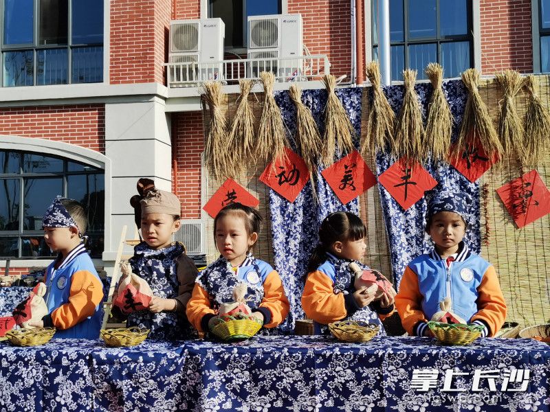 今日上午,，開福區(qū)沙坪實(shí)驗(yàn)幼兒園、開福區(qū)教育局第三幼兒園共同舉辦了“勞動美,，豐收樂”主題親子活動,。圖片均為長沙晚報(bào)全媒體記者 舒文 攝