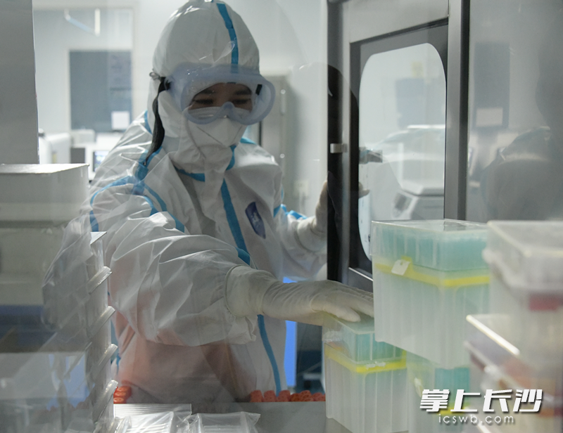 穿戴好防護(hù)服、N95口罩,、眼罩,、面屏、雙層手套的檢測(cè)人員在忙碌著,。