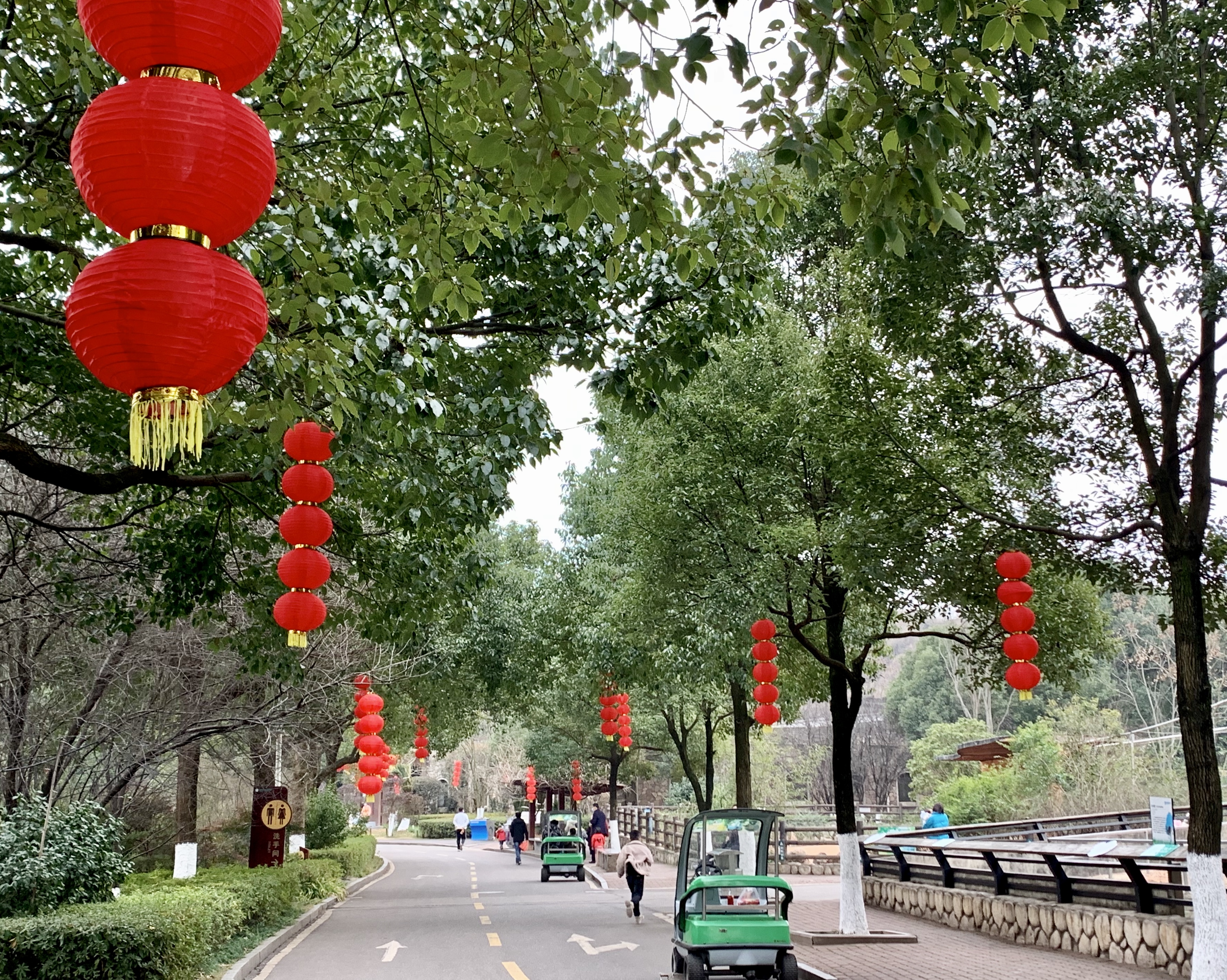 長(zhǎng)沙生態(tài)動(dòng)物園內(nèi)張燈結(jié)彩，一派喜氣洋洋的氛圍,。