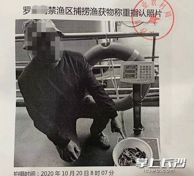 執(zhí)法人員現(xiàn)場將在禁漁期,、禁漁區(qū)進行非法捕撈的羅某某查獲,，并查獲蝦籠網(wǎng)5個，捕獲的各類水產(chǎn)品共計0.8公斤,。