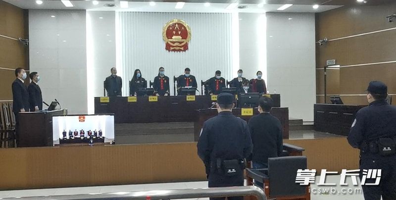 16日，開福區(qū)人民法院湘江環(huán)境資源法庭公開審理一起危害珍貴、瀕危野生動物罪案,。長沙晚報全媒體記者劉樹源攝
