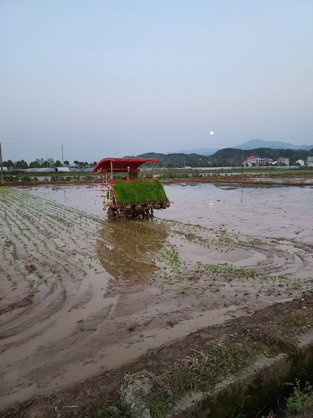 瀏陽市龍伏鎮(zhèn)，種糧大戶正通過插秧機(jī)作業(yè),。 長(zhǎng)沙晚報(bào)全媒體記者 錢娟 攝