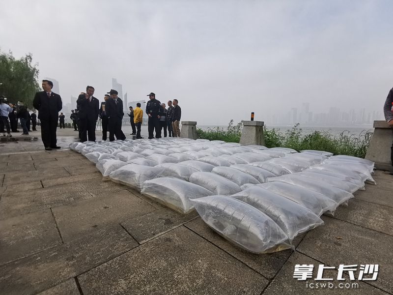今日，開福法院開展“十年禁漁”專項(xiàng)司法行動暨增殖放流活動,。均為長沙晚報全媒體記者劉樹源攝