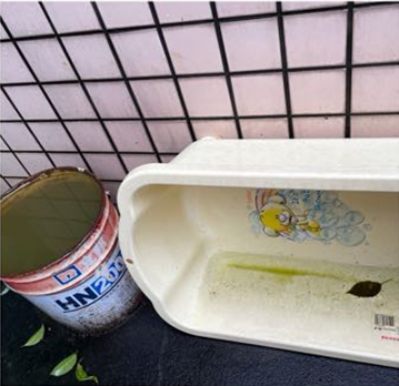 原來蚊子是從這些積水容器中長出來的,。