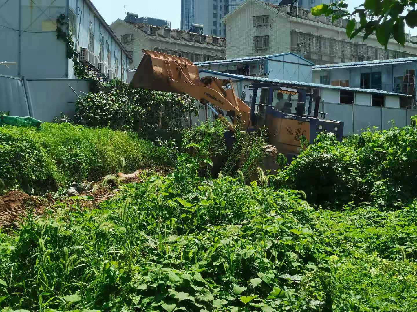 整治行動中,，推土機正平整場地。  長沙晚報通訊員  章錦 攝