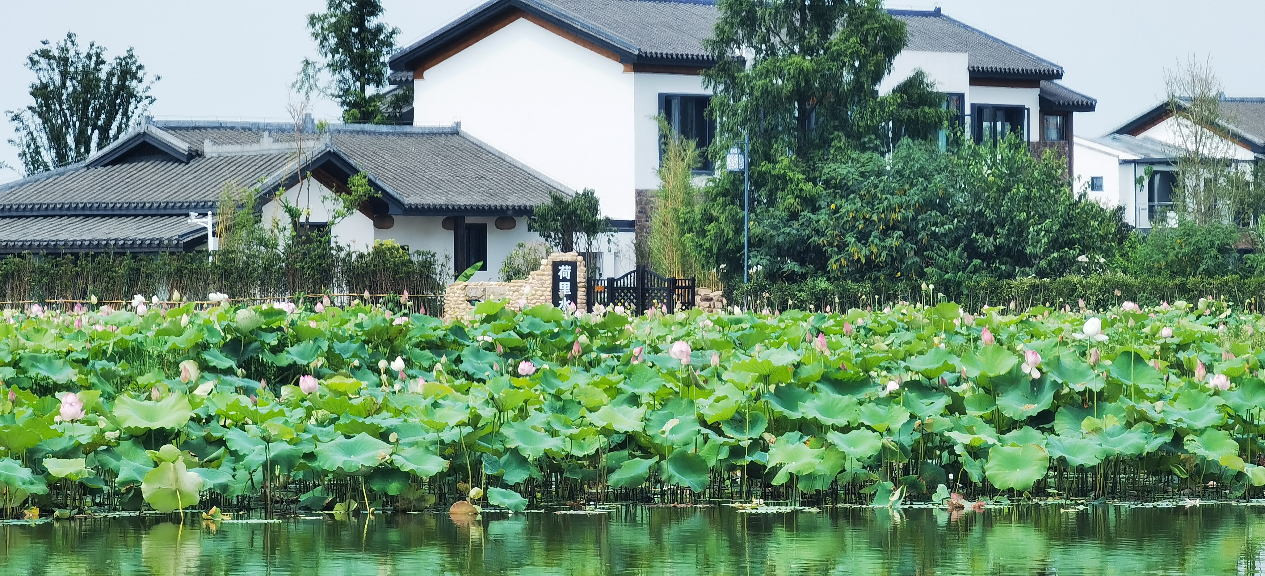 喬口鎮(zhèn)盤龍嶺村里,，詩情畫意的文旅項目“荷里喬江”迅速竄紅，為村民增收開辟了新路子,。