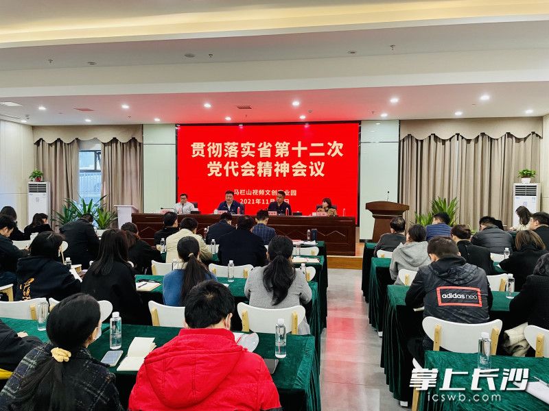 馬欄山園區(qū)干部職工和青年創(chuàng)客黨員代表學(xué)習(xí)傳達貫徹省黨代會報告精神。 長沙晚報全媒體記者 李卓攝