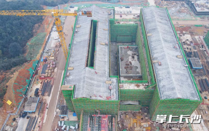 1月4日，長(zhǎng)沙幼兒師范高等?？茖W(xué)校建設(shè)項(xiàng)目主體結(jié)構(gòu)順利封頂,，標(biāo)志著項(xiàng)目建設(shè)取得階段性進(jìn)展。長(zhǎng)沙晚報(bào)全媒體記者 陳煥明 通訊員 曹安江 攝影報(bào)道