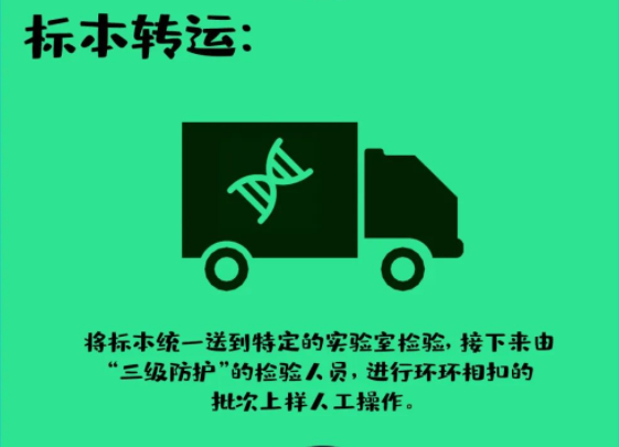 標本轉運：將標本統(tǒng)一送到特定的實驗室檢驗,，接下來由“三級防護”的檢驗人員,，進行環(huán)環(huán)相扣的批次上樣人工操作。