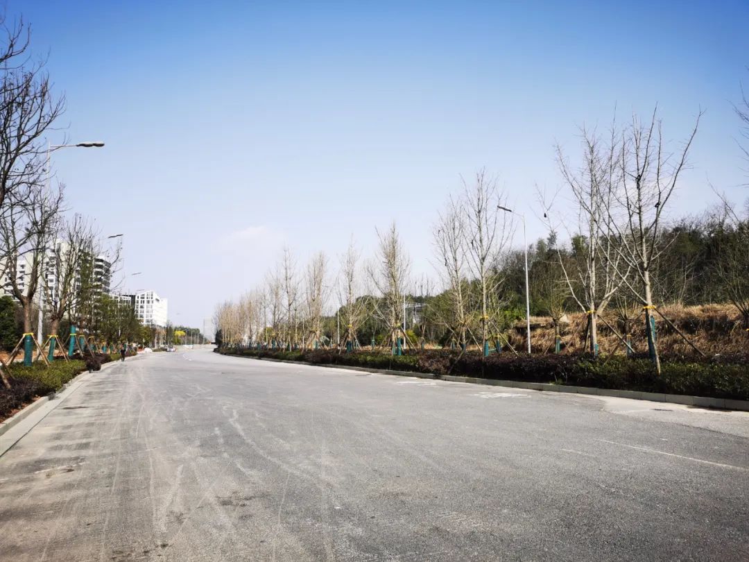 6號(hào)線沿線正全面推進(jìn)站點(diǎn)建成后的道路市政設(shè)施恢復(fù)工作