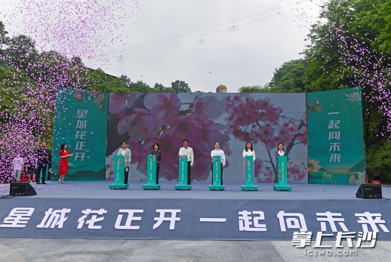 4月27日，“春暖花開(kāi)·微游長(zhǎng)沙”2022長(zhǎng)沙市春夏文旅產(chǎn)品發(fā)布暨長(zhǎng)沙縣鄉(xiāng)村旅游節(jié)啟動(dòng)式在長(zhǎng)沙縣果園鎮(zhèn)潯龍河櫻花谷拉開(kāi)帷幕,。  均為長(zhǎng)沙晚報(bào)全媒體記者王志偉攝