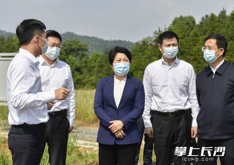 5月16日下午,，省委常委,、市委書(shū)記吳桂英在瀏陽(yáng)市永和鎮(zhèn)七寶山硫鐵礦廟沖尾礦庫(kù)檢查尾礦庫(kù)治理工作。均為長(zhǎng)沙晚報(bào)全媒體記者 余劭劼 攝