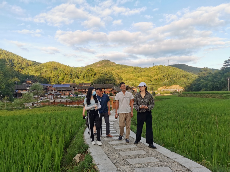 調(diào)研團隊在崇木凼水稻種植基地參觀交流,。均為通訊員 供圖