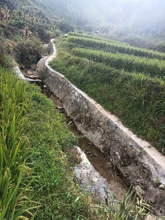 江邊村農(nóng)田溝渠,。