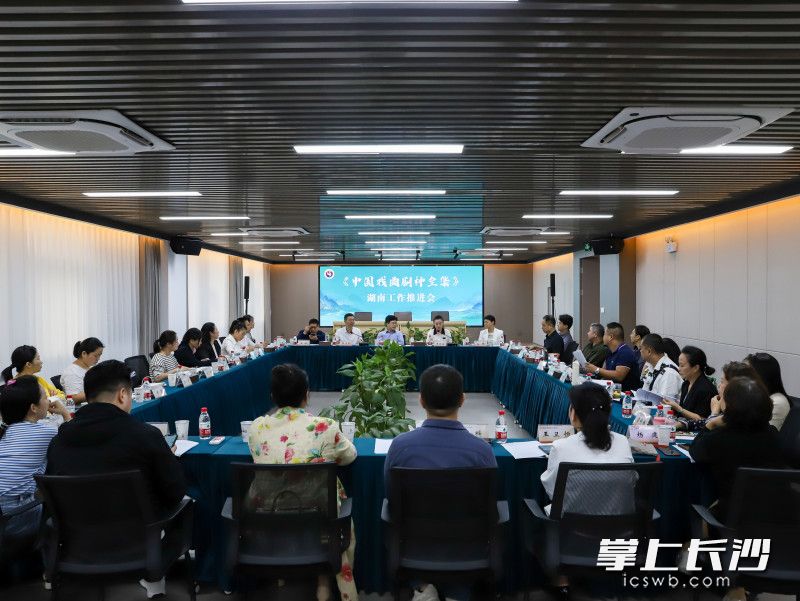 《中國(guó)戲曲劇種全集》湖南工作調(diào)研會(huì)在湖南省藝術(shù)研究院召開(kāi),。