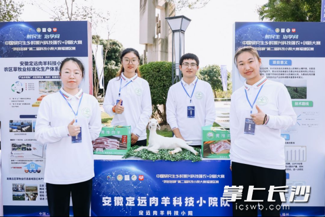 福建農(nóng)林大學平和蜜柚科技小院 黃華偉 ｜ 攝