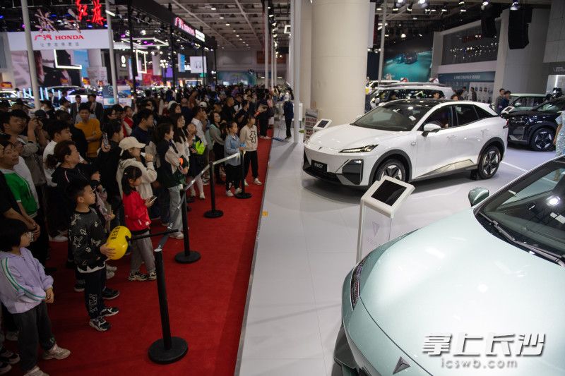 2024湖南車(chē)展人潮涌動(dòng)。  長(zhǎng)沙晚報(bào)全媒體記者 黃啟晴 攝