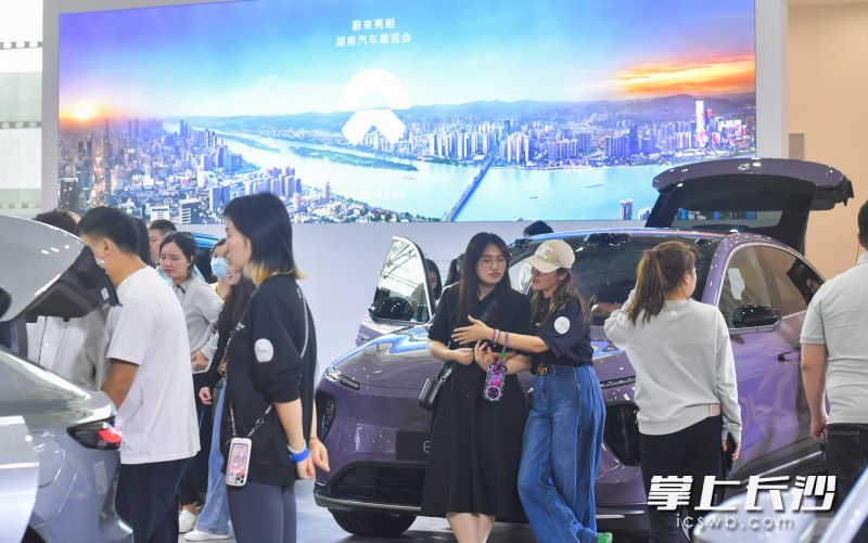 國產(chǎn)新能源車受青睞,。  長沙晚報全媒體記者 鄒麟 攝