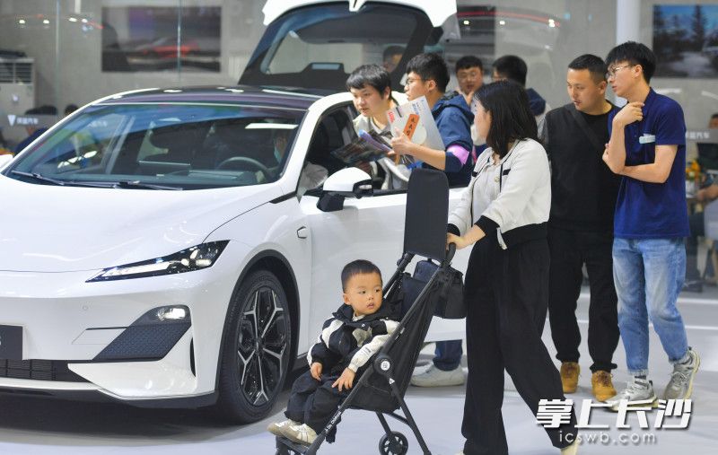 一位女士推著嬰兒車(chē)逛展,。