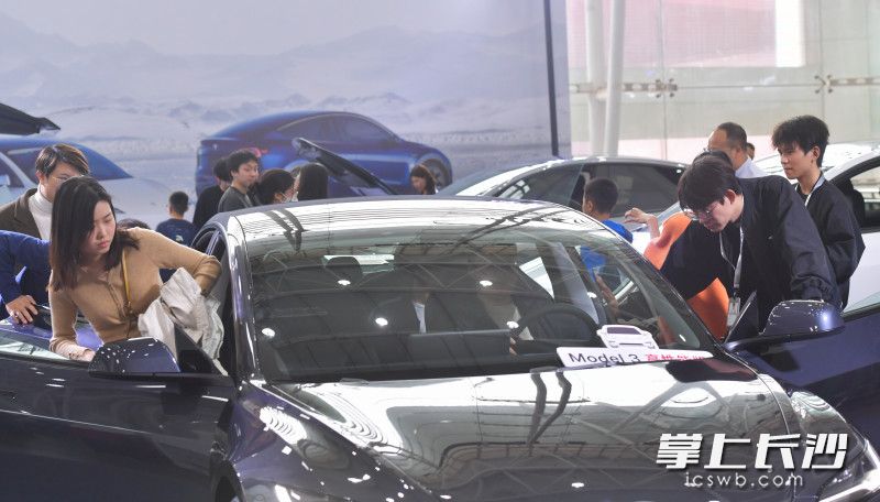 特斯拉展位上，前來看車的人也不少,。