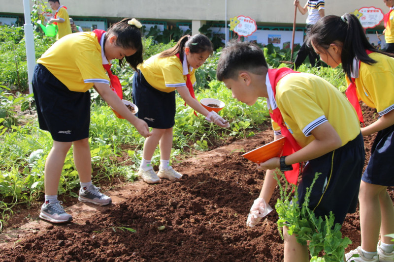 仰天湖新路小學(xué)的勞動教育工作受到與會嘉賓的肯定,。均為長沙晚報通訊員 鐘菲 劉俊  供圖