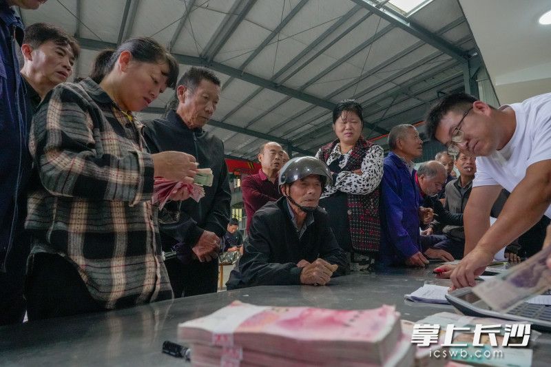 在大山深處的黑麋峰村煙筍產(chǎn)業(yè)化基地,，百余名村民集聚在這里領取連日來的挖筍工資,。均為全媒體記者 陳飛攝