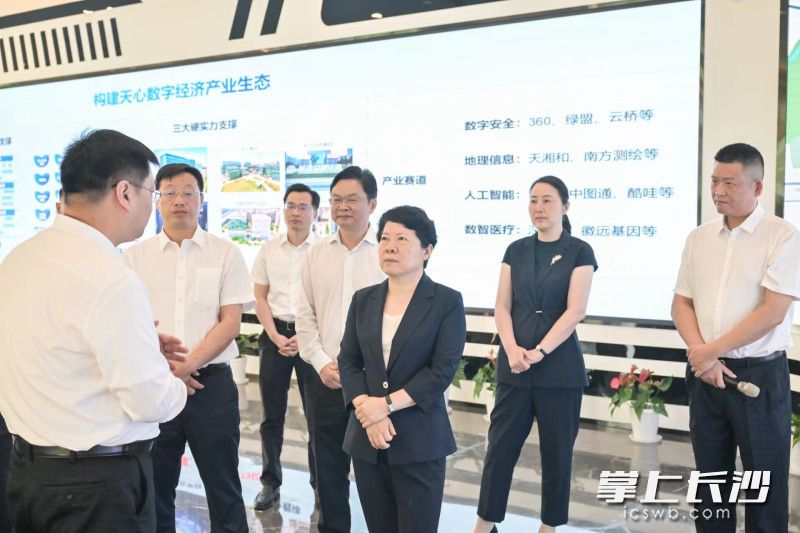 吳桂英調(diào)研“天心數(shù)谷”建設(shè)及引進(jìn)企業(yè)發(fā)展情況,。