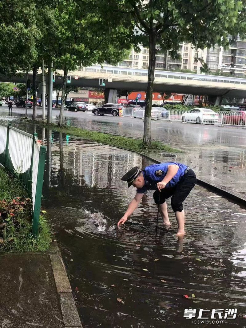 城管隊員徒手清掏篦子口的樹葉和垃圾,。