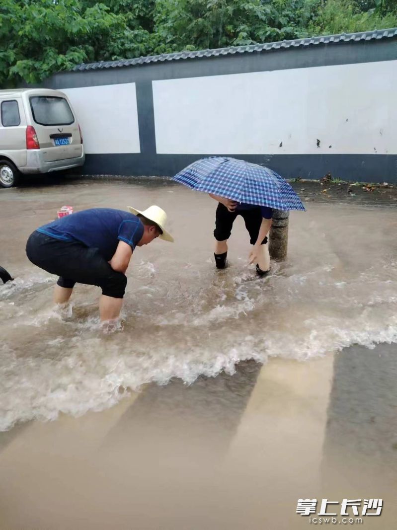 對積水路段排澇除險,。