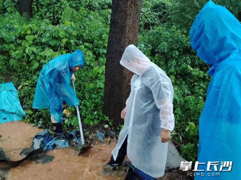 工作人員冒雨疏通排水設施,。