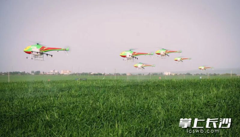 無(wú)人機(jī)在田間輕舞,，“科技范兒”實(shí)打?qū)嵽D(zhuǎn)化成了農(nóng)業(yè)生產(chǎn)力,。  資料圖片