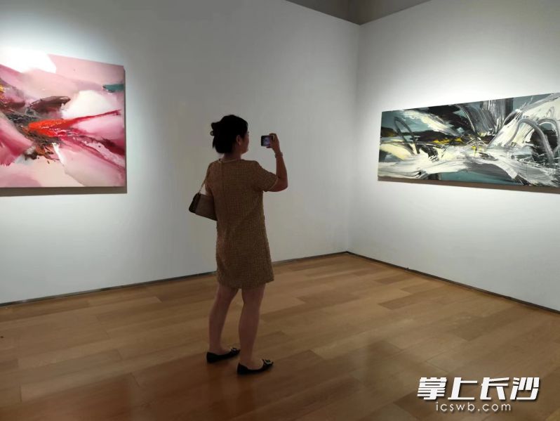 市民拍照打卡,。均為長(zhǎng)沙晚報(bào)全媒體記者 寧莎鷗 攝