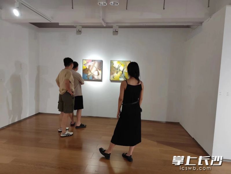 市民觀展