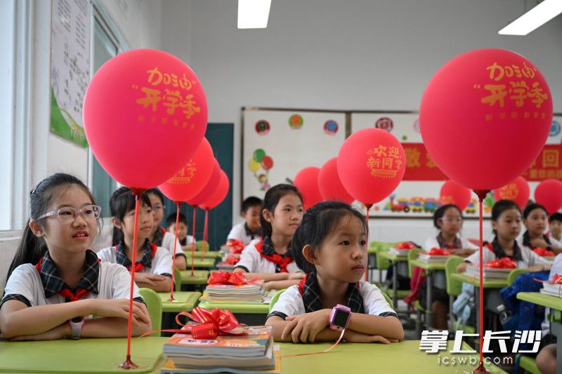 今日上午，開福區(qū)新竹第二小學(xué),，學(xué)生在喜慶的氛圍里報(bào)到,，迎來(lái)新學(xué)期。 均為長(zhǎng)沙晚報(bào)全媒體記者王志偉,、通訊員劉艷麗攝