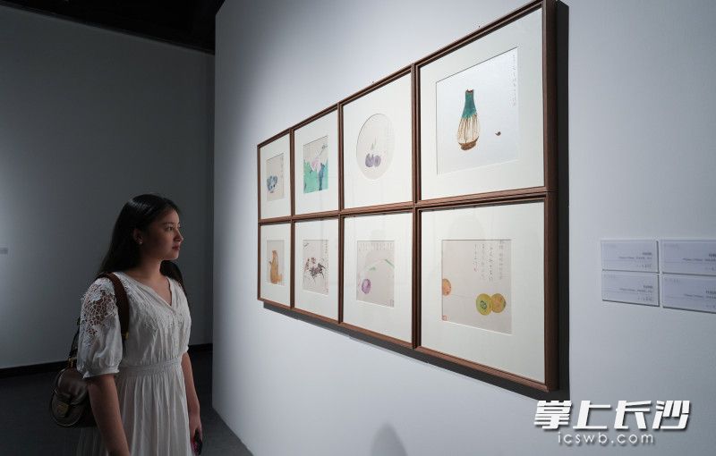 9月21日，“不一定是這 不一定是那——何立偉,、林樂(lè)倫作品展”在長(zhǎng)沙美術(shù)館開(kāi)幕,，市民們正在觀看展覽。長(zhǎng)沙晚報(bào)全媒體記者 鄒麟 攝