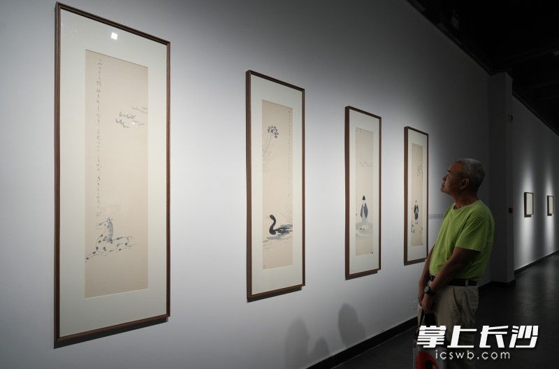 9月21日，“不一定是這 不一定是那——何立偉,、林樂(lè)倫作品展”在長(zhǎng)沙美術(shù)館開(kāi)幕,，市民們正在觀看展覽。長(zhǎng)沙晚報(bào)全媒體記者 鄒麟 攝