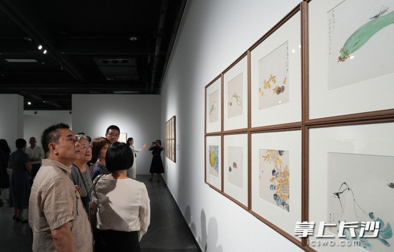 9月21日,，“不一定是這 不一定是那——何立偉、林樂(lè)倫作品展”在長(zhǎng)沙美術(shù)館開(kāi)幕,，市民們正在觀看展覽,。長(zhǎng)沙晚報(bào)全媒體記者 鄒麟 攝