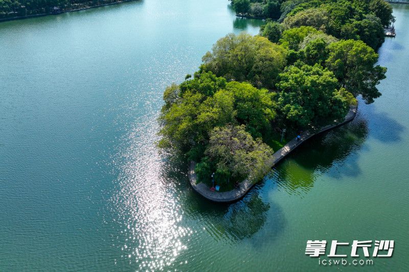 陽光灑在烈士公園的湖面上,，賞心悅目,。