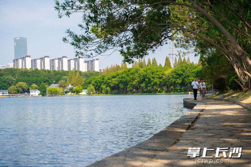 在烈士公園湖畔的步道上，市民沿道漫步,，欣賞風景,。