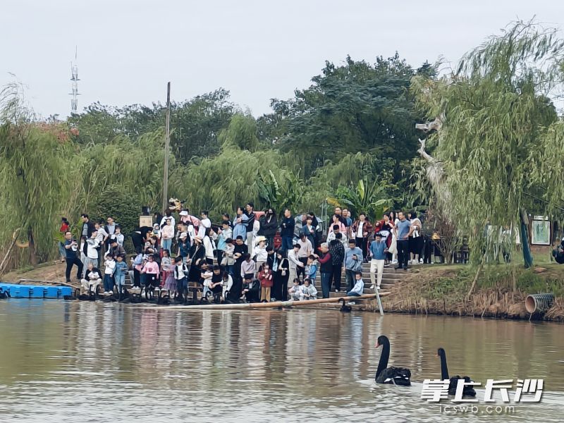 洋沙湖景區(qū)的美好生態(tài),、特色活動(dòng)吸引了不少游客,。