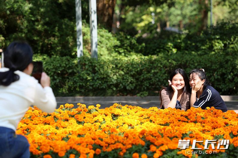 今日,，市民紛紛來到湖南烈士公園游園散心,、賞景打卡,，樂享秋陽的溫馨,。 均為長沙晚報全媒體記者賀文兵攝