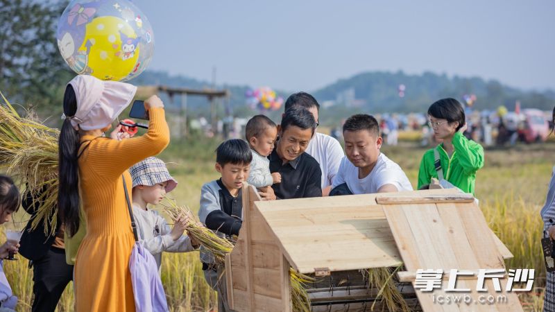 游客朋友參加摸魚、扮禾活動,，體驗勞作的樂趣,，收獲豐收的滿足。長沙晚報全媒體記者 張禹 通訊員 唐柏林 攝影報道