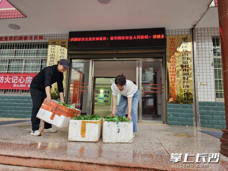 張?zhí)m芳（左）扎根望城團山湖10多年，將小小的辣椒苗發(fā)展到了6家基地,，年產(chǎn)種苗5000多萬株的大產(chǎn)業(yè),。均為受訪者供圖